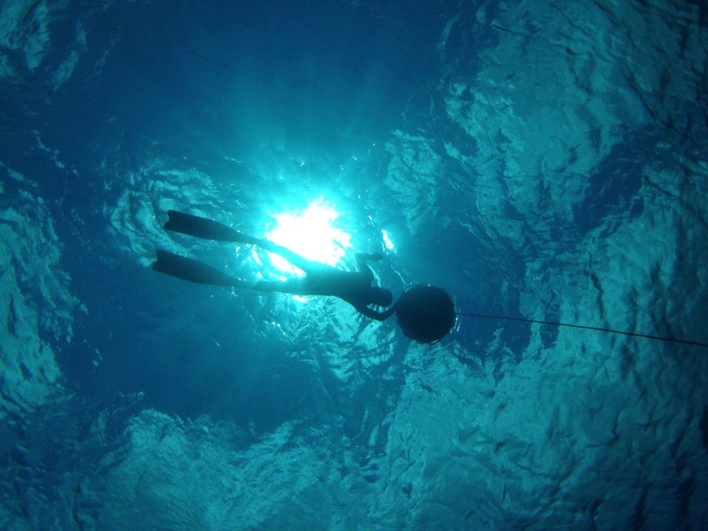 A diver swimming underwater with fins, with sunlight shining from above, creating a shimmering effect on the water surface.